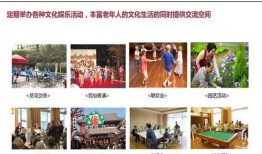 中日养老院爆料视频,揭秘养老现状与问题